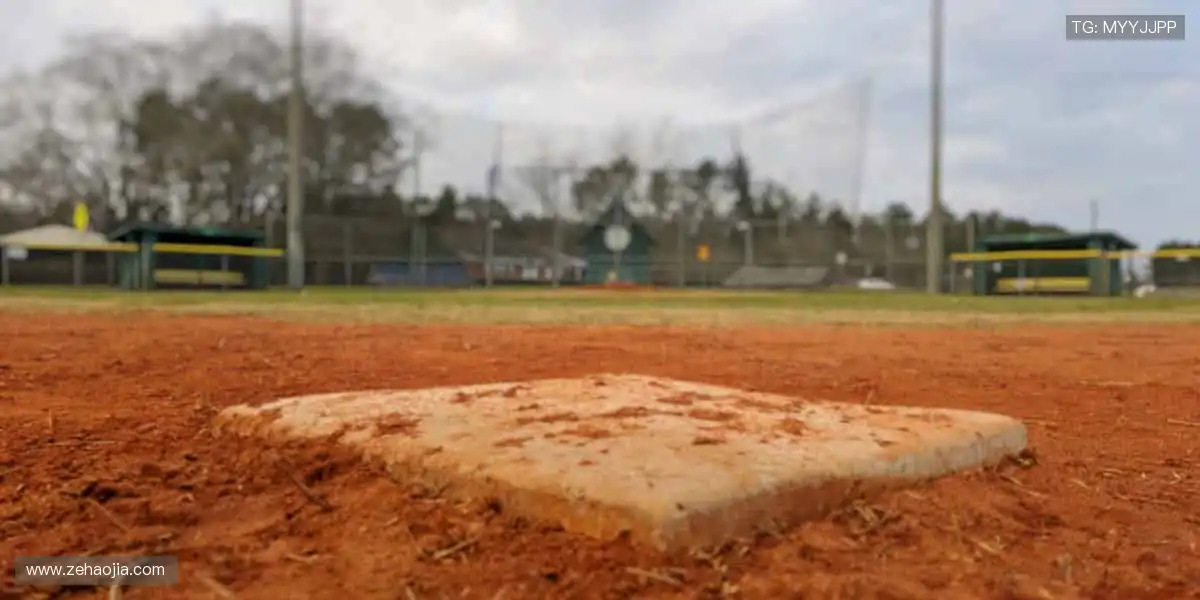 🏀 高清直播，实时尖叫，与全球球迷同频共振！