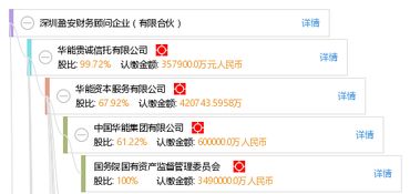 深圳盈安财务顾问企业 有限合伙