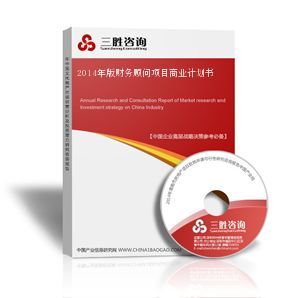 财务顾问项目商业计划书